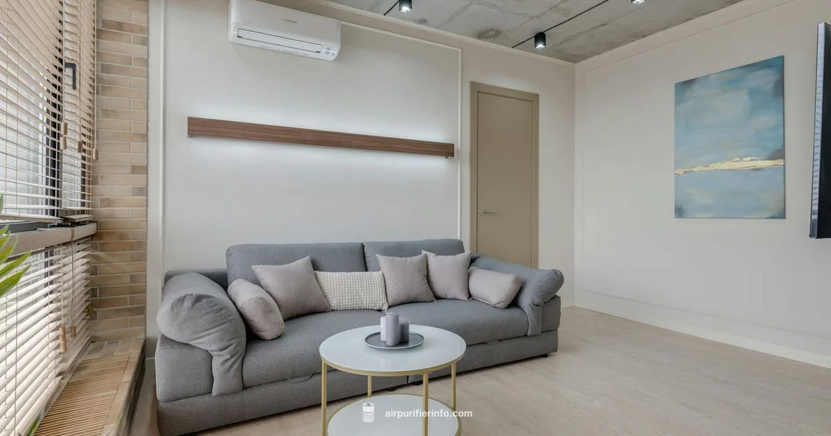 Placement Guide - Air Purifier Info