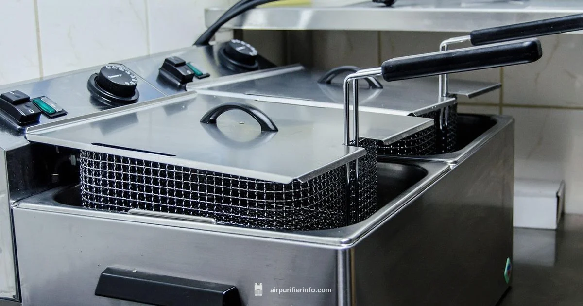 Clean Air Fryer Basket - Air Purifier Info