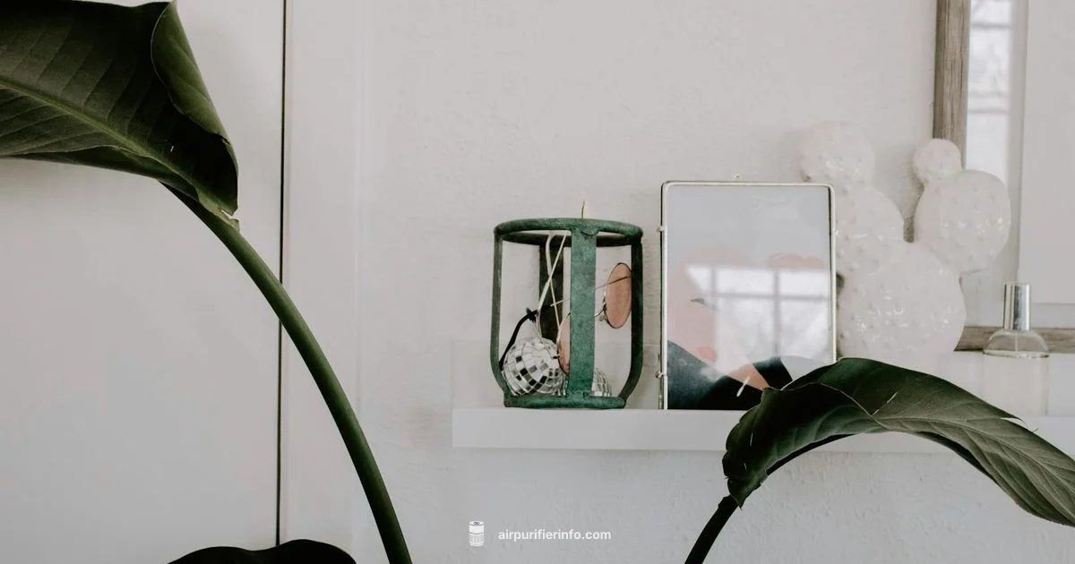 Air Purifier Service Air Purifier Service - Air Purifier Info