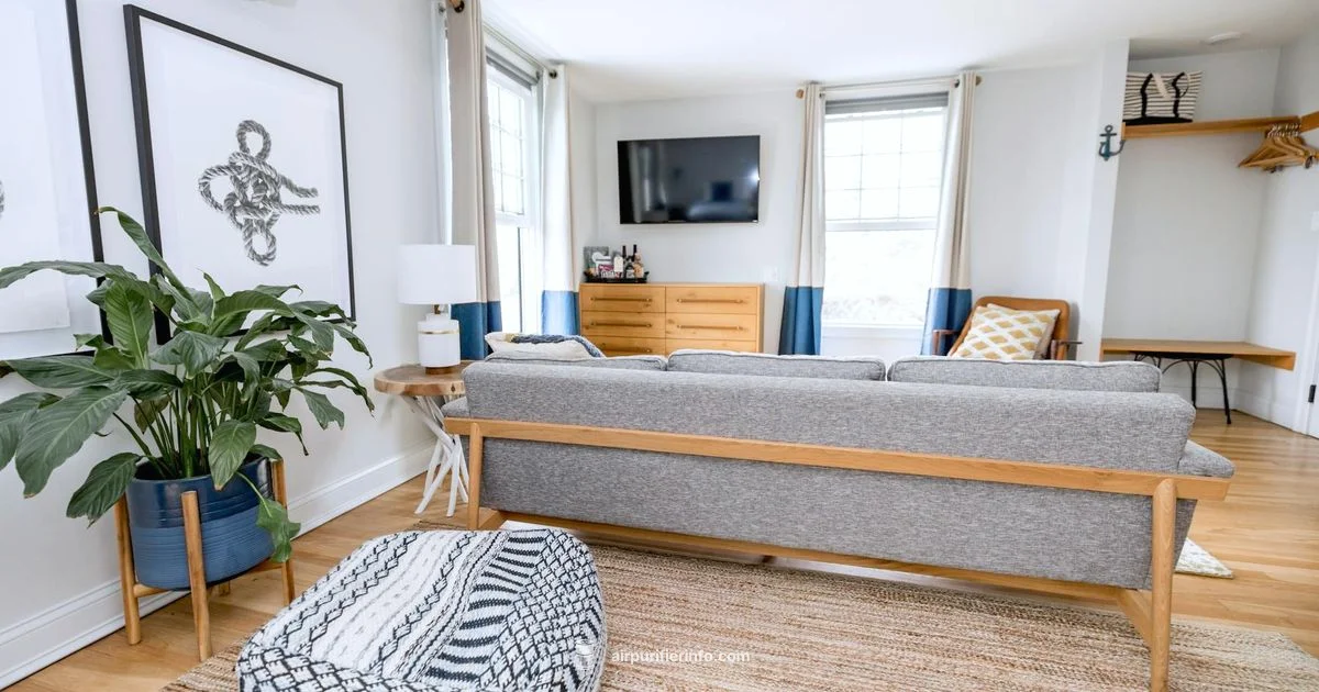 Frida Air Purifier Guide - Air Purifier Info