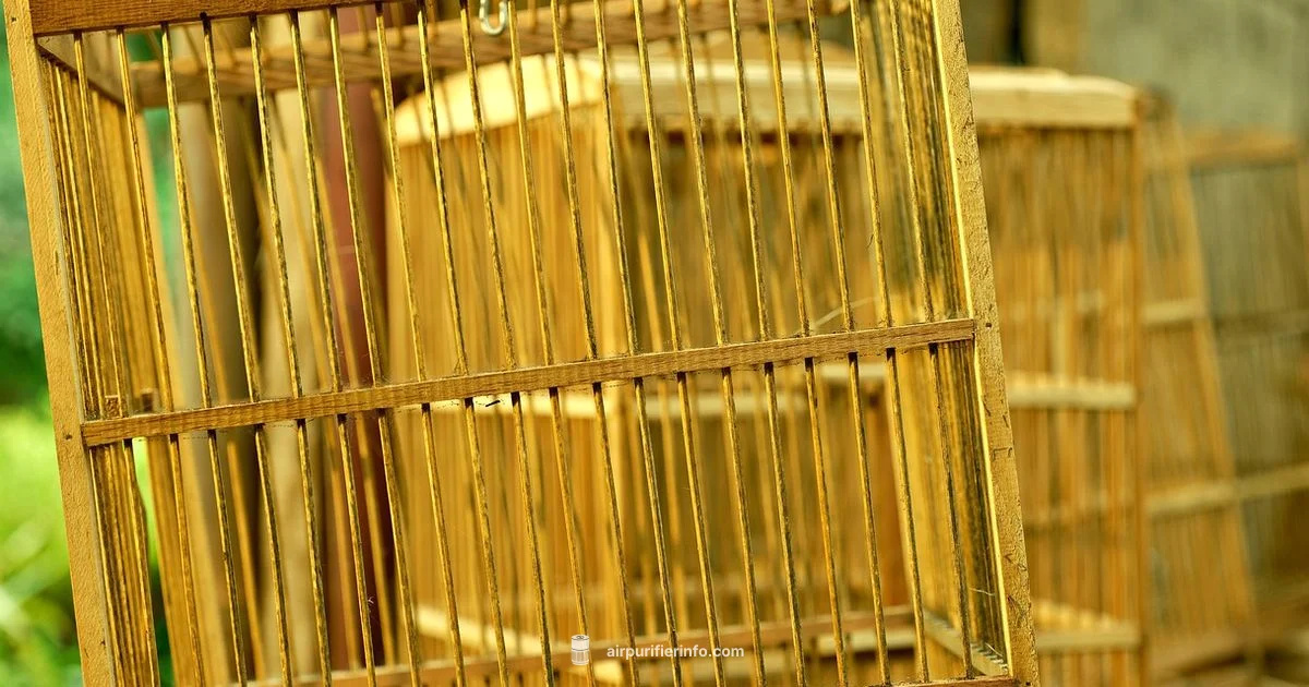 Bird-Safe Air Purifiers - Air Purifier Info