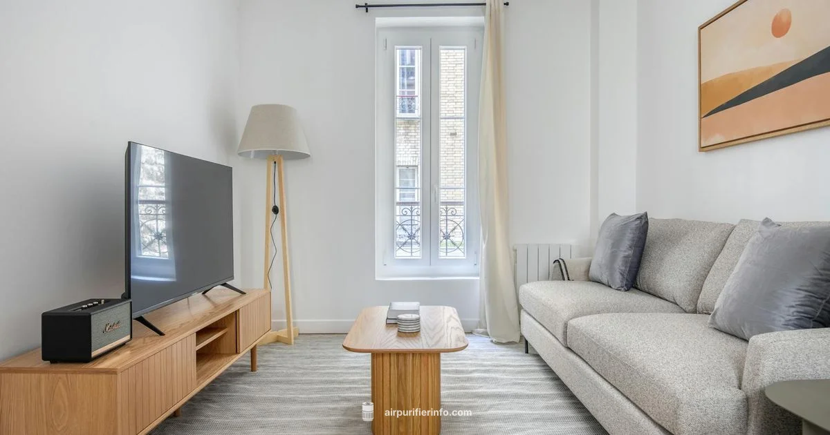 Smartmi 2 Review - Air Purifier Info