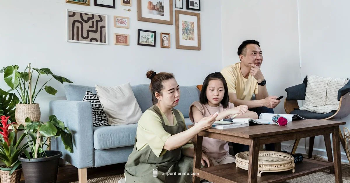 No Cost Purifier - Air Purifier Info