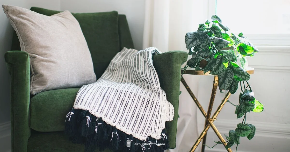 Blueair 511i Max Review - Air Purifier Info