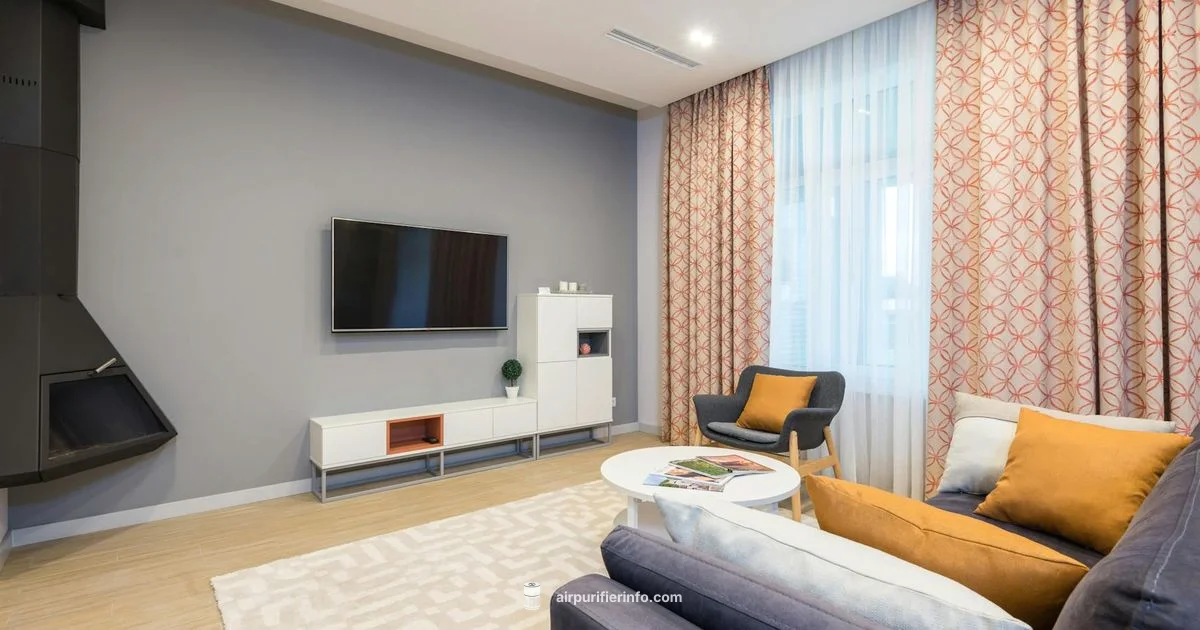 Budget Purifier Picks - Air Purifier Info