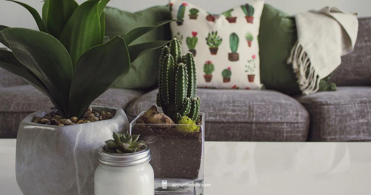 Cleaner Air Now - Air Purifier Info