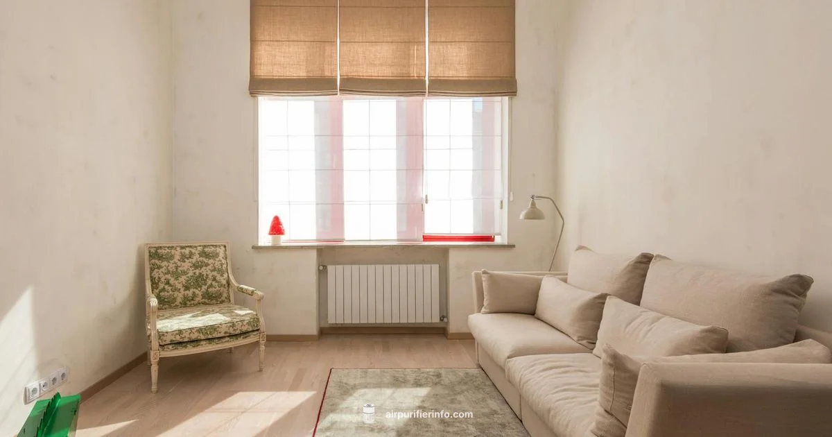 Blueair 121 Review - Air Purifier Info