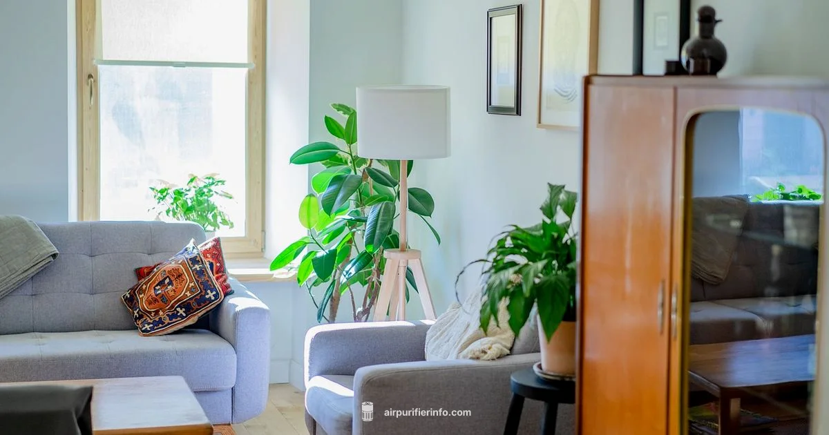 Air Purifier Uses - Air Purifier Info