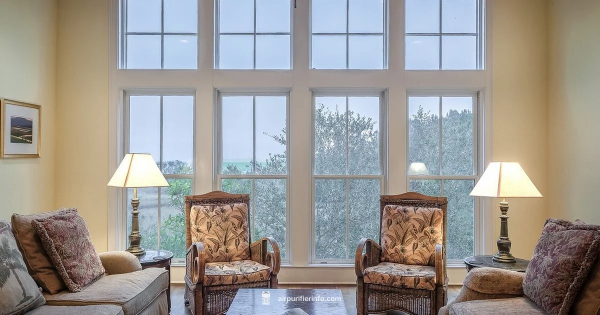 Air Purifier Essentials - Air Purifier Info