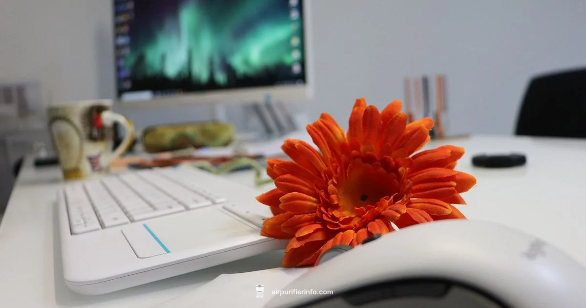 Personal Desk Purifier - Air Purifier Info