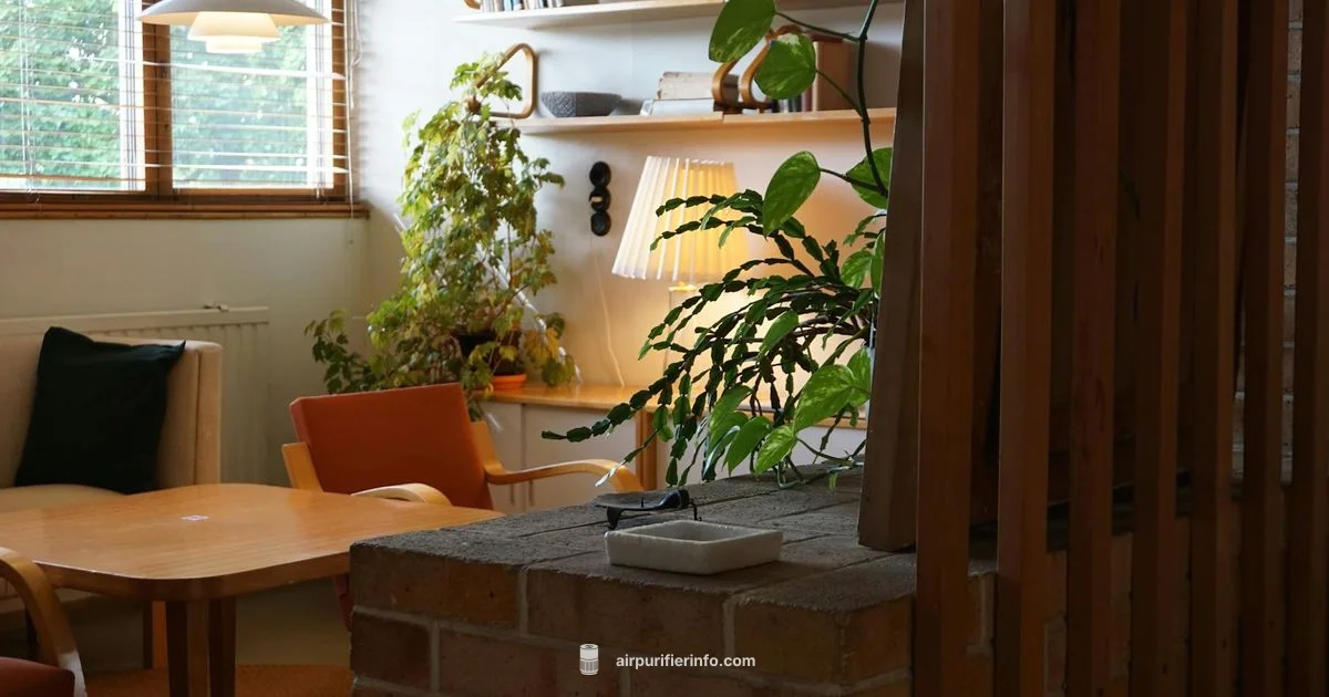 COVID Purifier Guide COVID Purifier Guide - Air Purifier Info