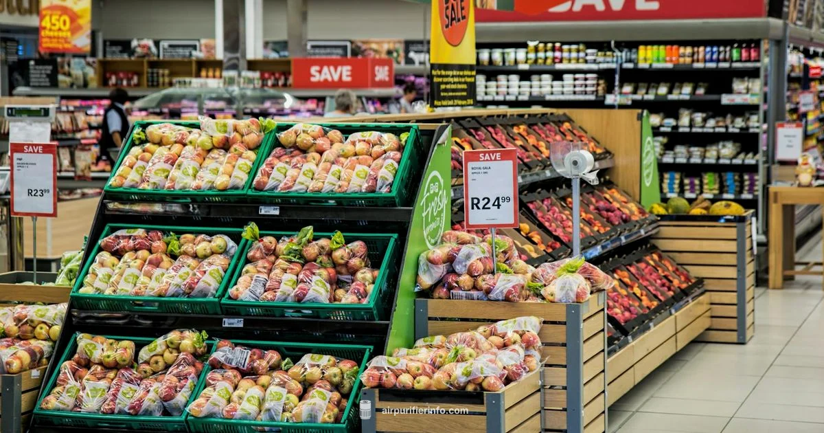 Costco Wix Guide - Air Purifier Info