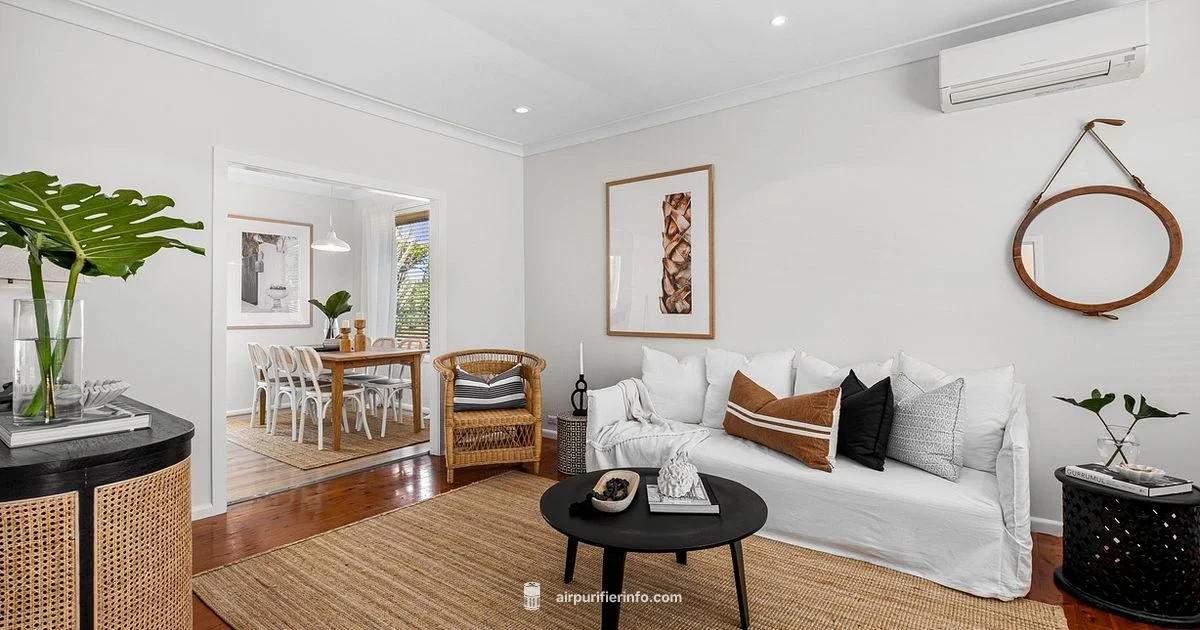 Buy Timing Guide Buy Timing Guide - Air Purifier Info