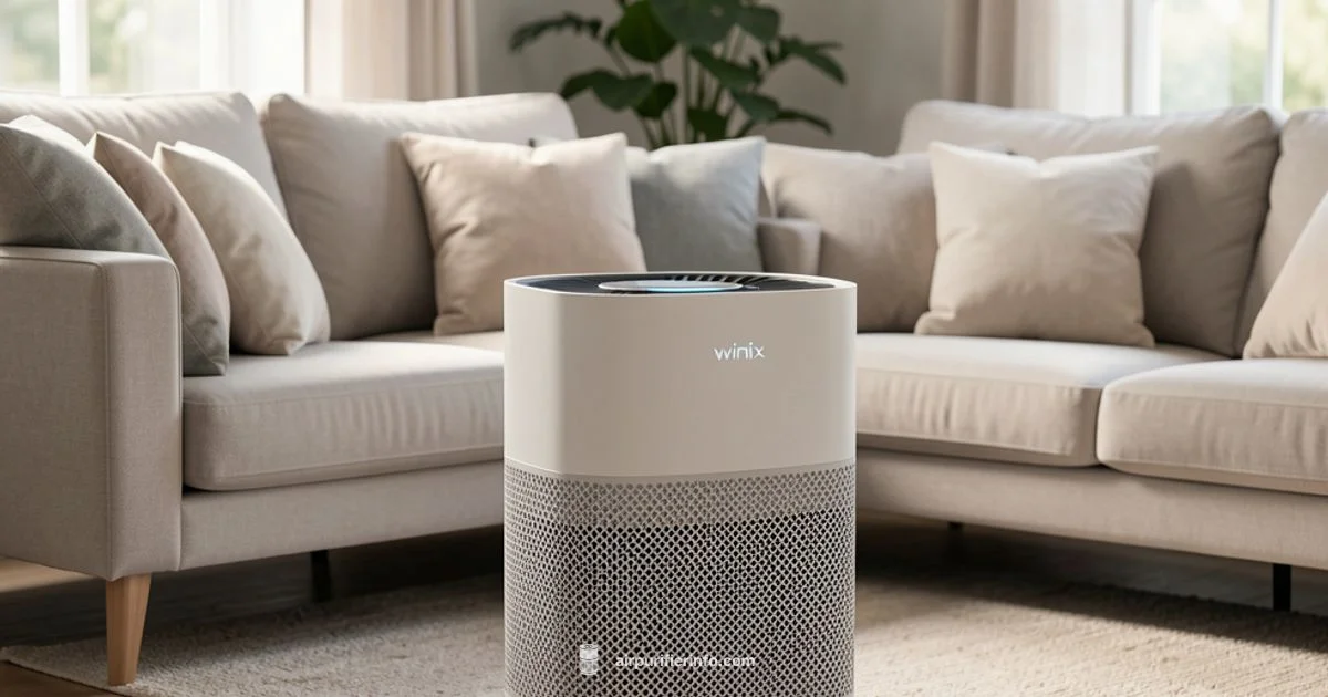 Winix 115115 - Air Purifier Info