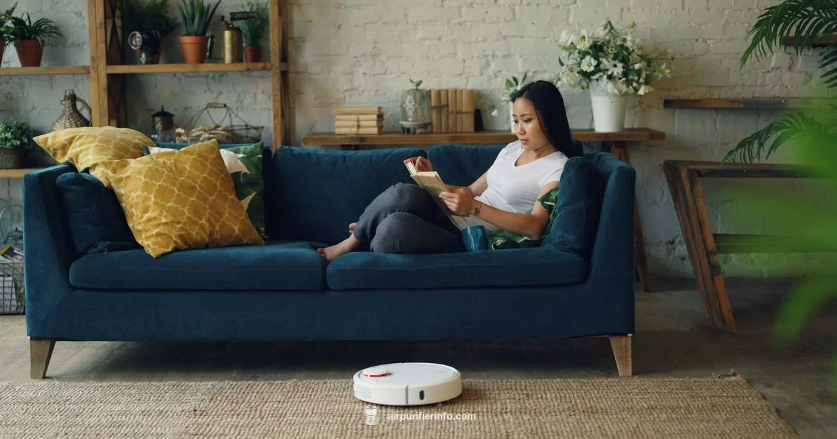 Electronic Air Cleaner - Air Purifier Info