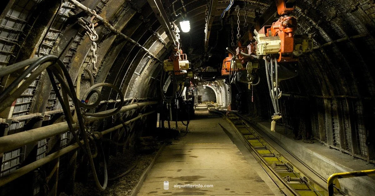 Mine Air Purifier Fix - Air Purifier Info