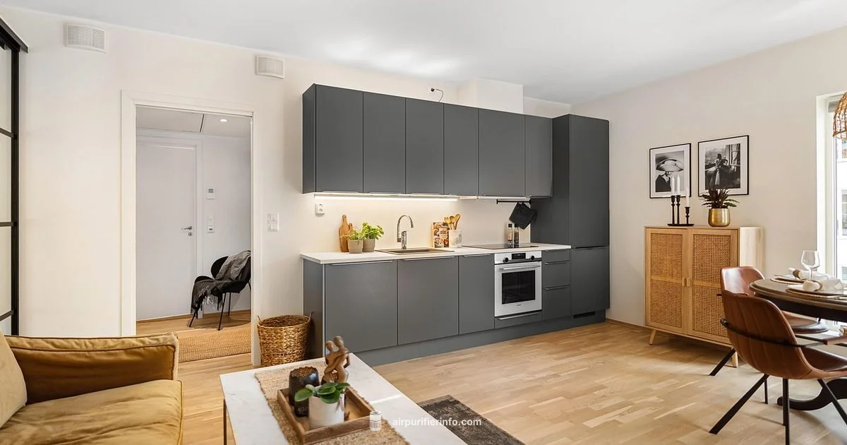 CO Safety and Purifier - Air Purifier Info