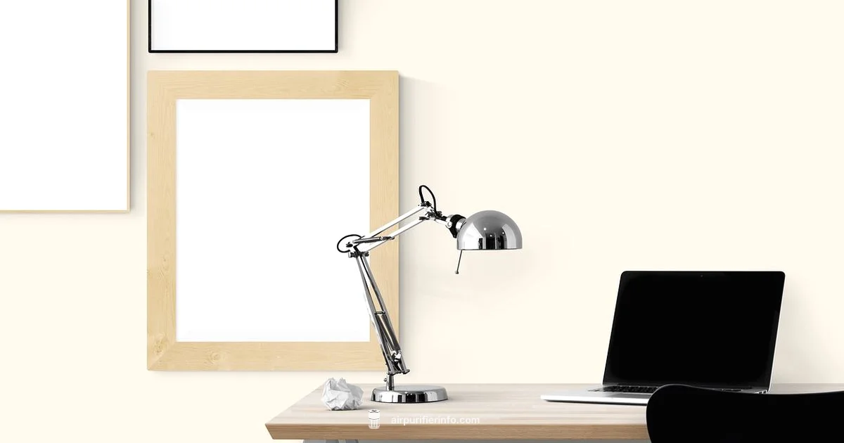 Air Purifier Placement - Air Purifier Info
