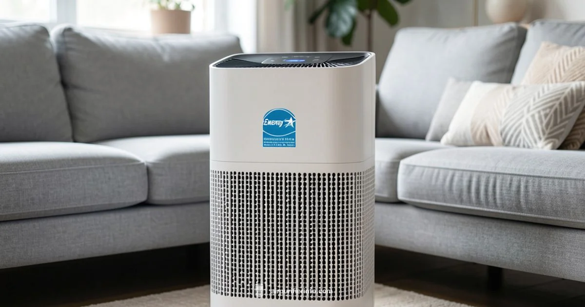 Energy Star Purifier Energy Star Purifier - Air Purifier Info