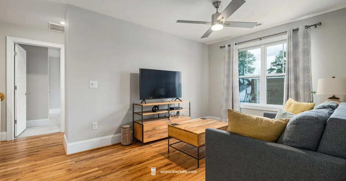 Canopy Purifier Guide - Air Purifier Info