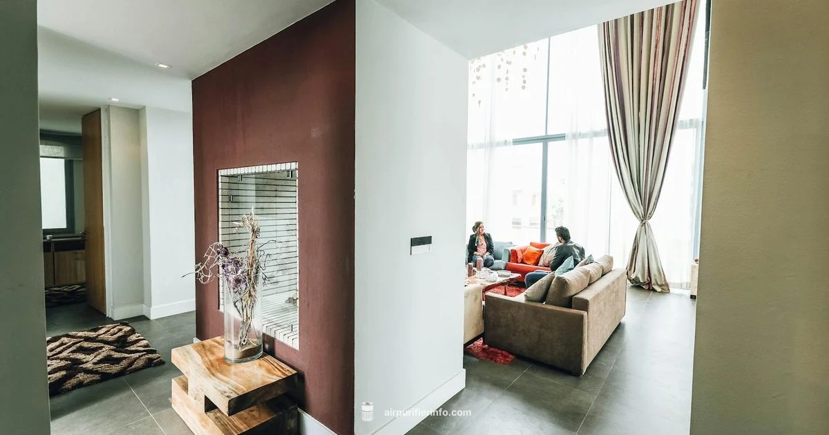 Large Space Purifier Guide - Air Purifier Info