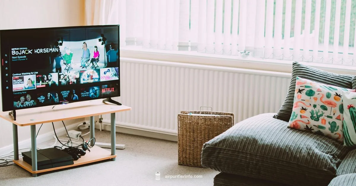 Large Room Purifier - Air Purifier Info