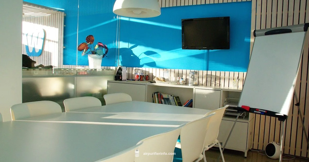 Clean Air, Easy Setup - Air Purifier Info