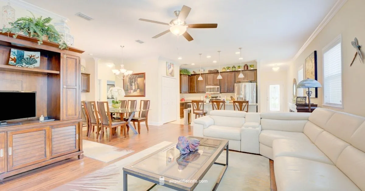 Coway vs Blueair - Air Purifier Info