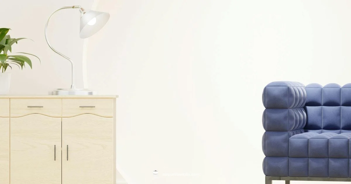 Blue Air 211 Overview - Air Purifier Info