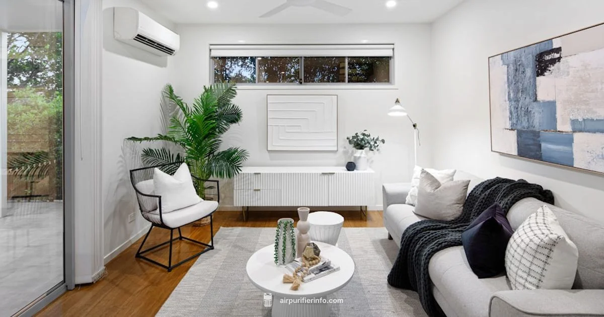 Clean Air at Home - Air Purifier Info