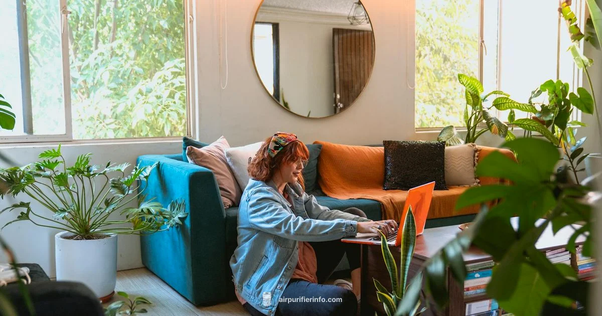 Sharp Air Clarity - Air Purifier Info