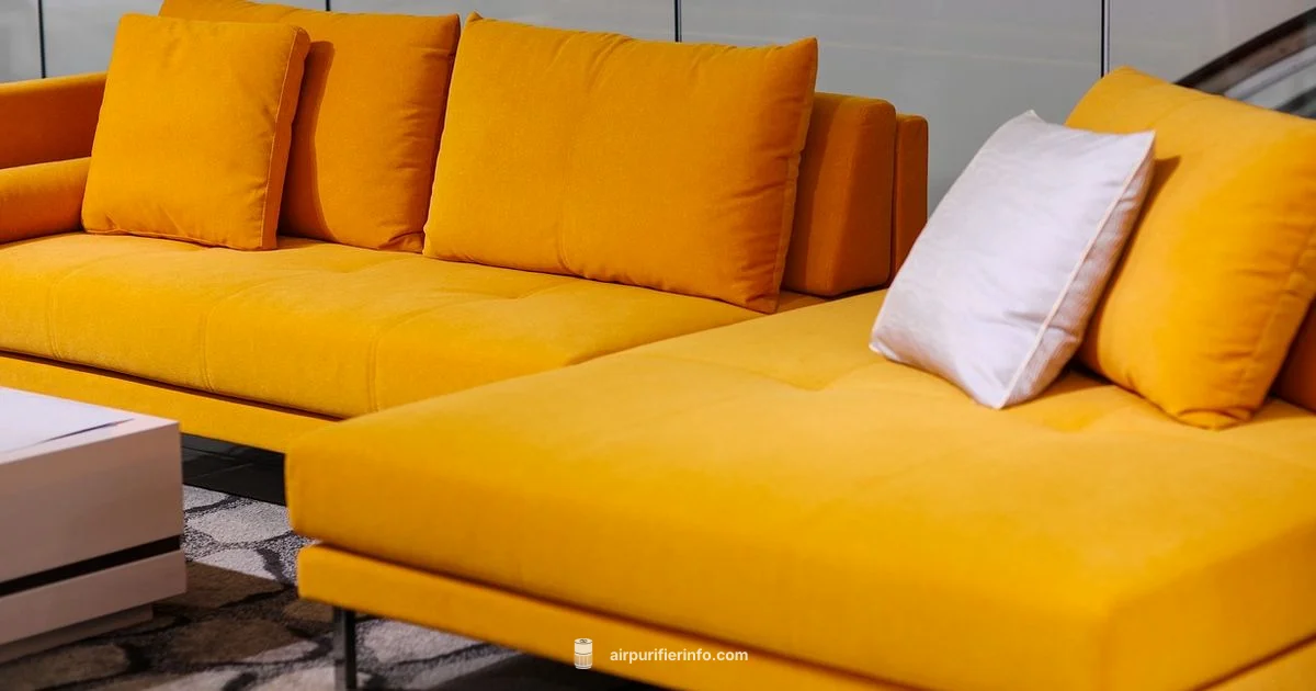 Pet-Friendly Purifiers - Air Purifier Info