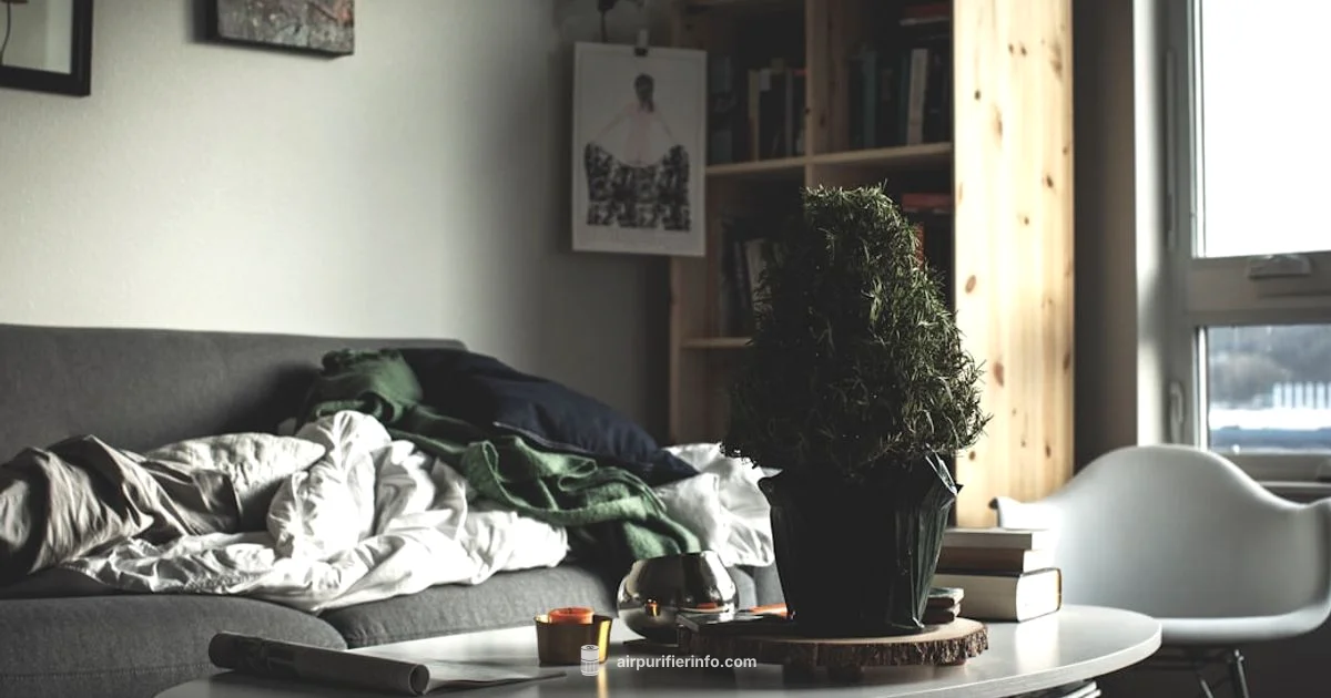 Purifier Care Guide - Air Purifier Info