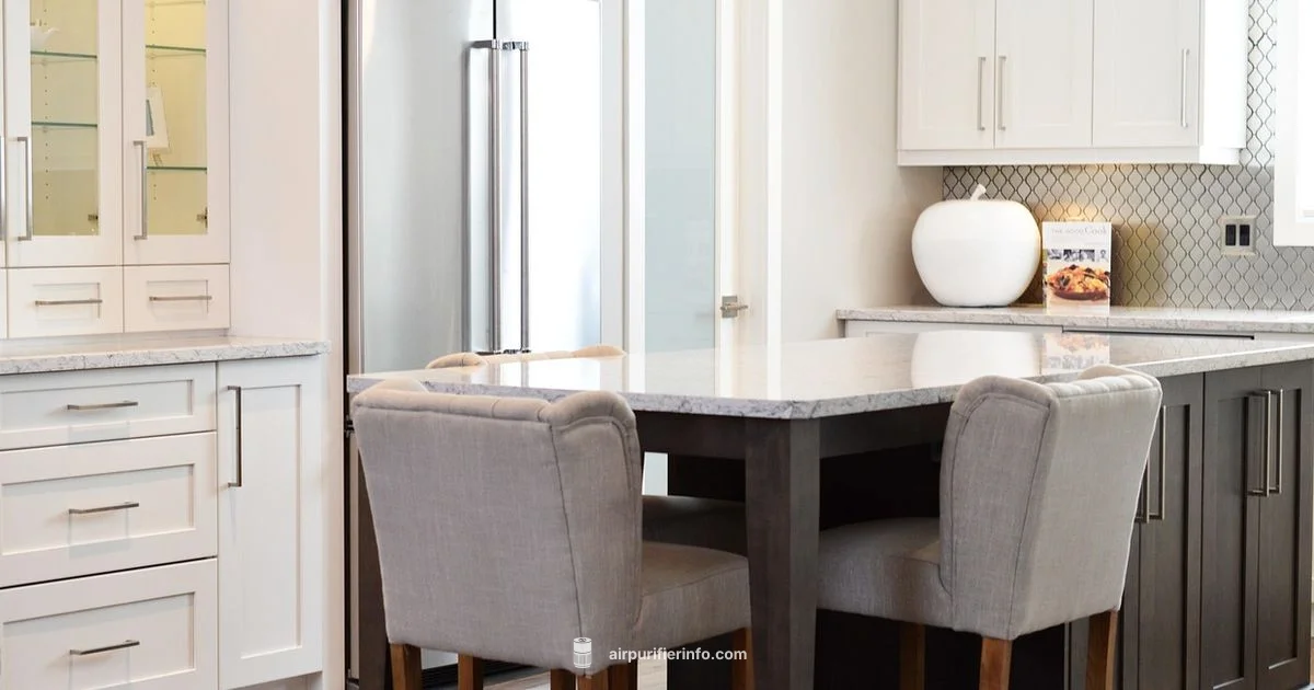 Odor Free Kitchen - Air Purifier Info