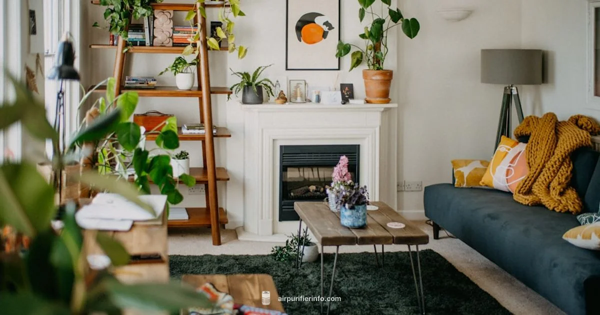 Sharp Air Purifier - Air Purifier Info