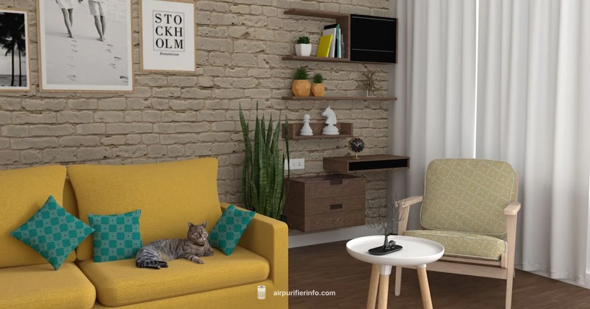 Cheap Air Filters: 2026 Guide - Air Purifier Info