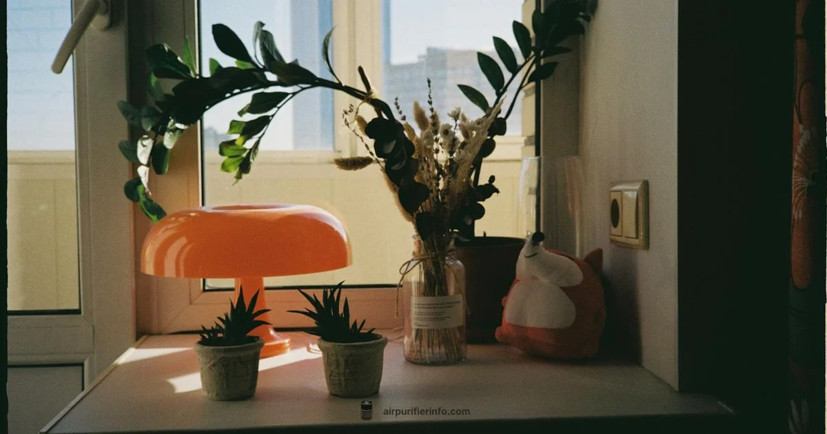 White Purifier Spotlight - Air Purifier Info