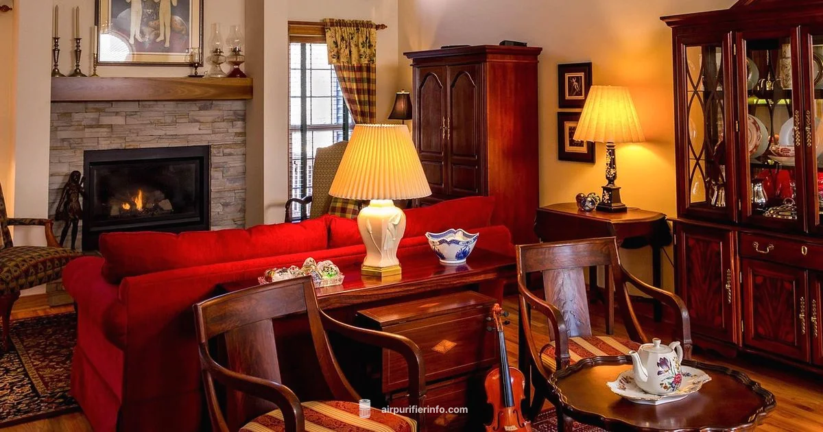 Budget Clean Air - Air Purifier Info