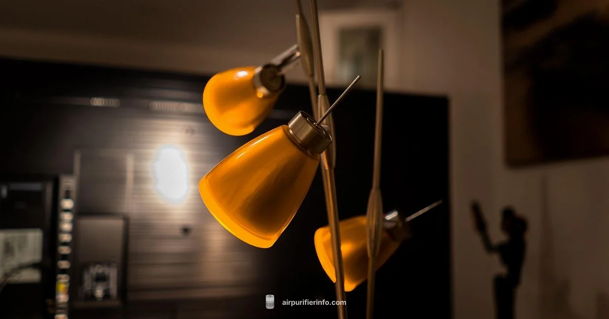 Two-Filter Design - Air Purifier Info