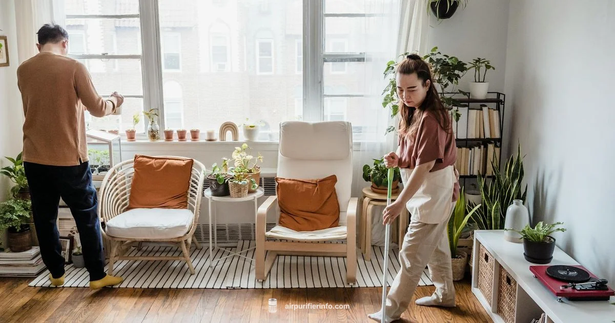 Natural Air Purifiers - Air Purifier Info