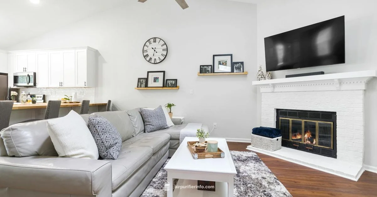 Core 600S Overview - Air Purifier Info