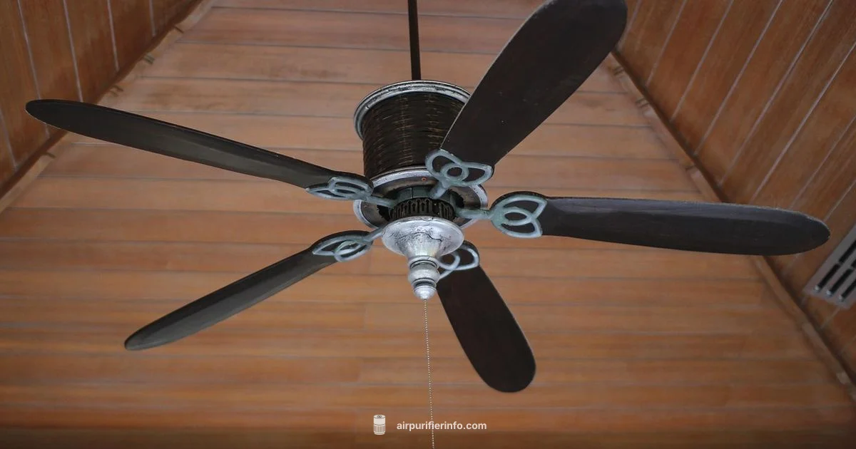 Ceiling Fan Purifier Ceiling Fan Purifier - Air Purifier Info