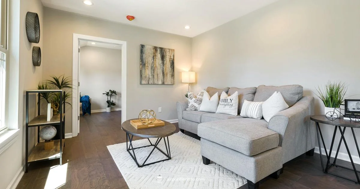 Clarifion Ionizer Overview - Air Purifier Info