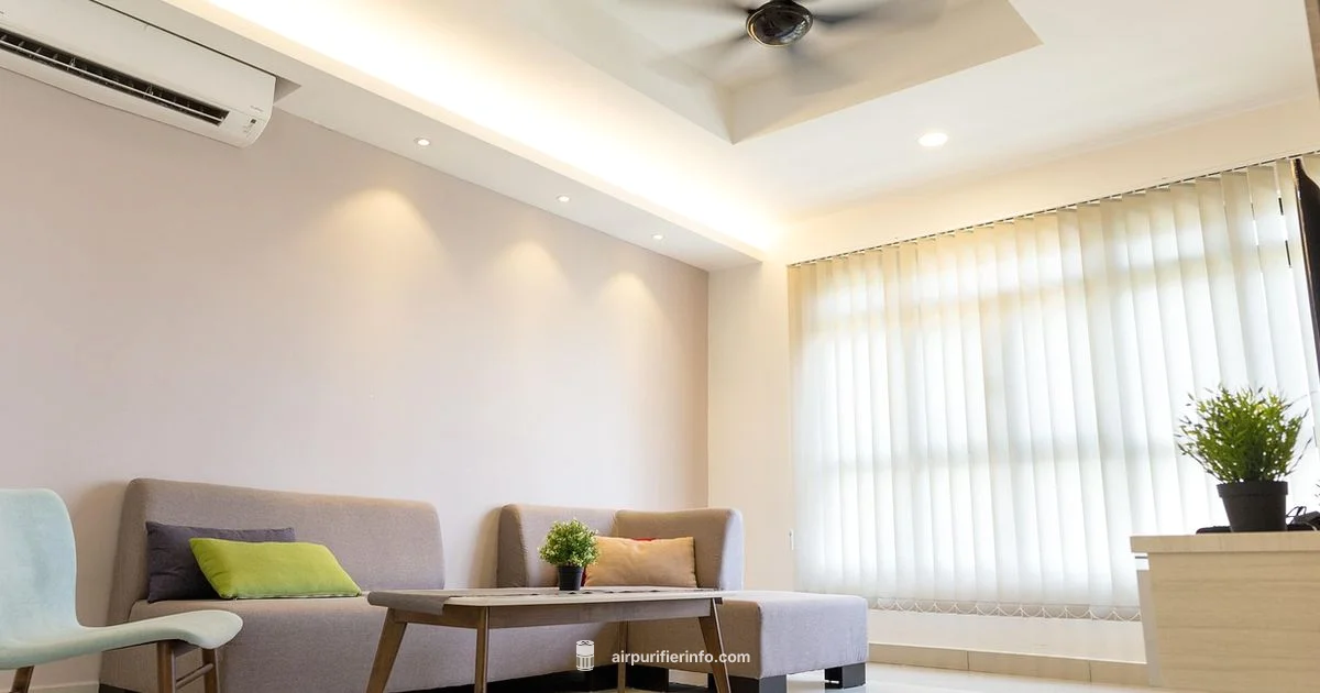 Best Air Purifier Picks - Air Purifier Info