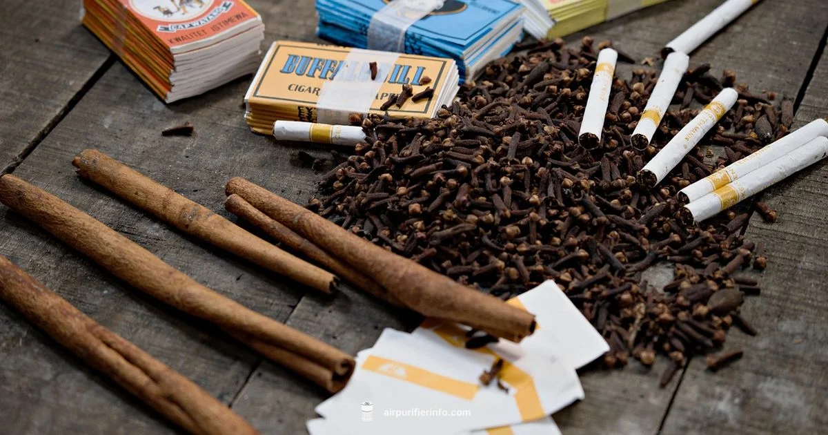 Cigar Smoke Purifier Guide - Air Purifier Info