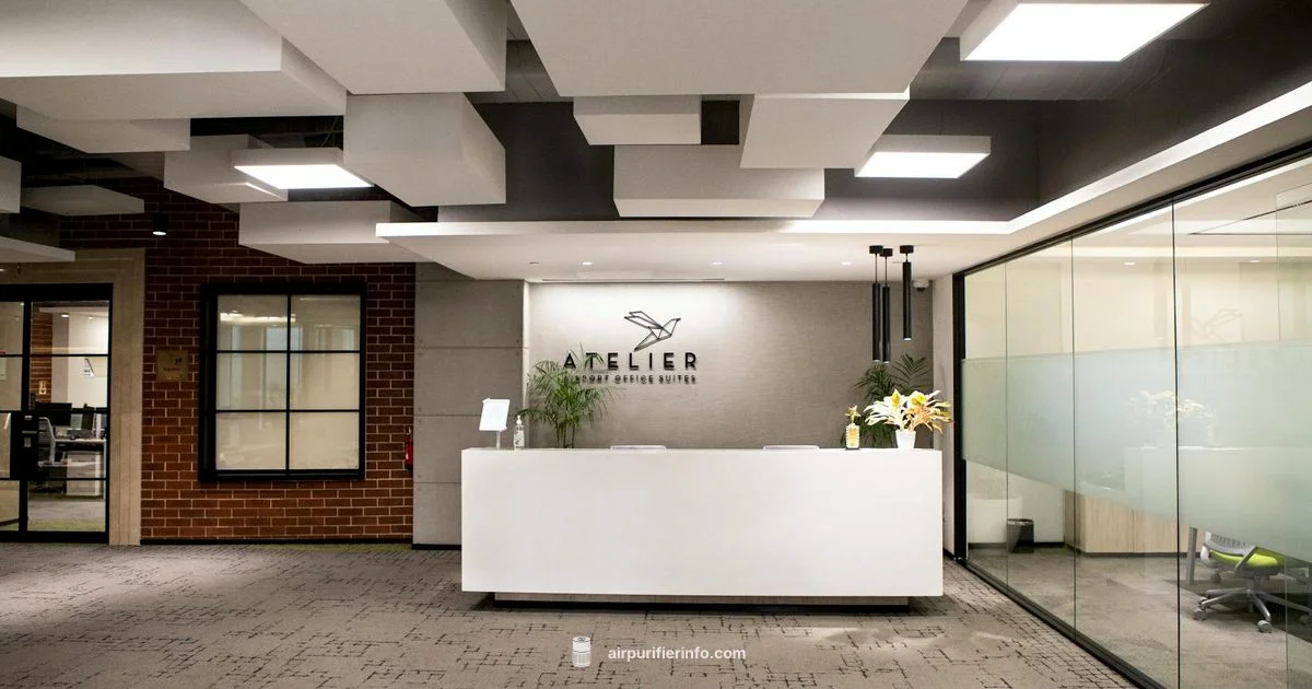 Delhi Purifier Guide - Air Purifier Info