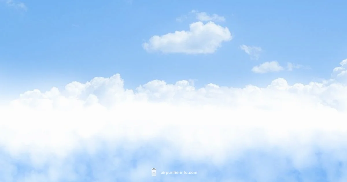 Blue Air 211 Filter - Air Purifier Info