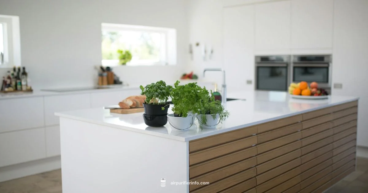 Remove Levoit Filter - Air Purifier Info