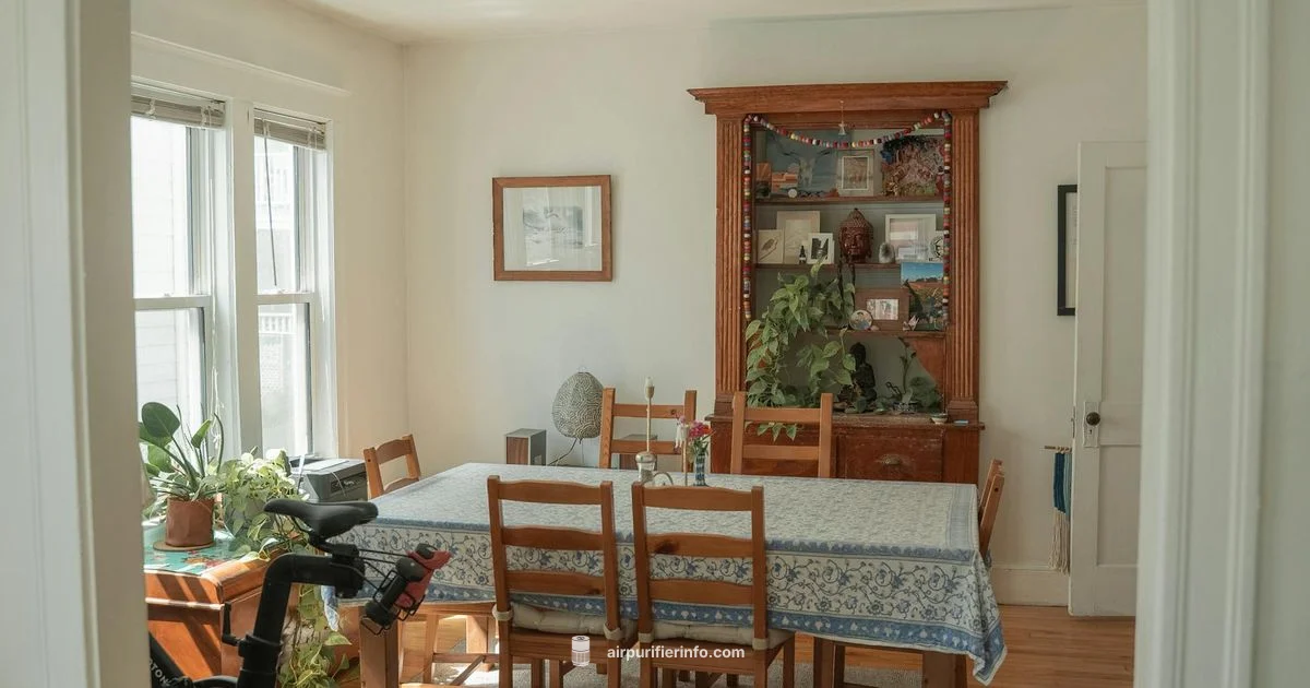 Ionizer vs Filter - Air Purifier Info