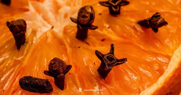 Fresh Air, Gentle Scent - Air Purifier Info